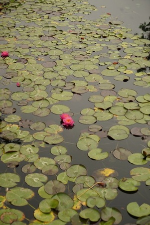 Enlarge photo 47