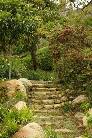 Enlarge photo 48