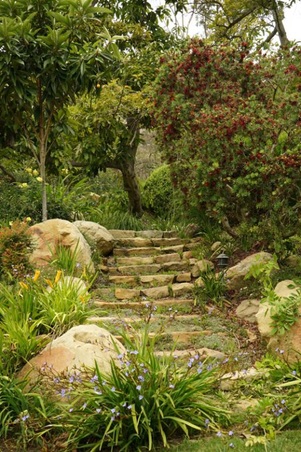 Enlarge photo 49