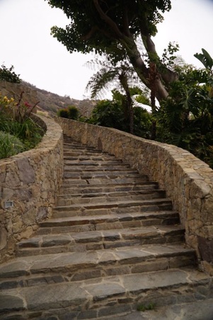 Enlarge photo 64