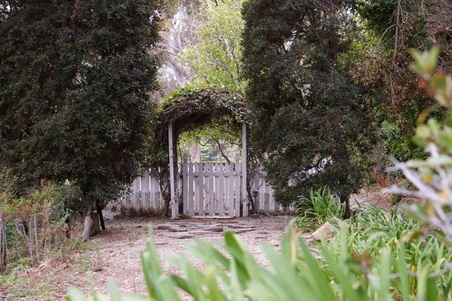 Enlarge photo 78