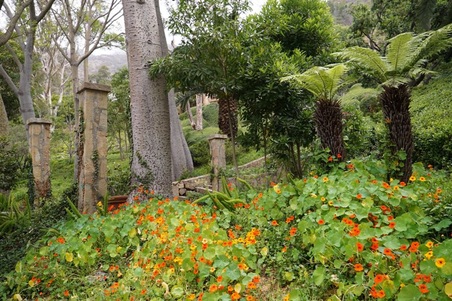 Enlarge photo 81