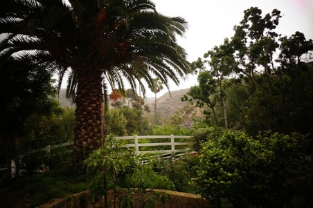 Enlarge photo 82