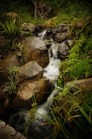 Enlarge photo 89