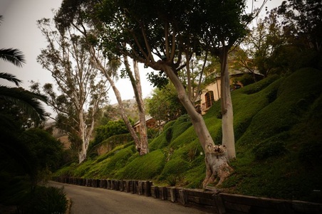 Enlarge photo 91