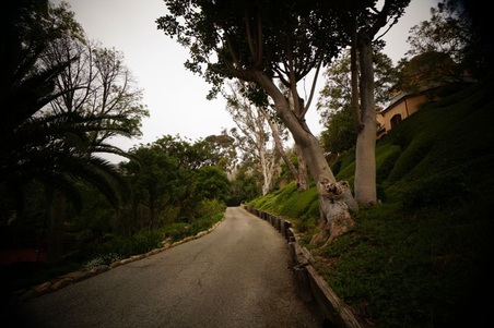 Enlarge photo 92