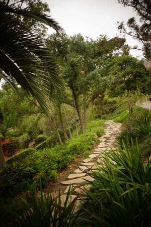 Enlarge photo 93