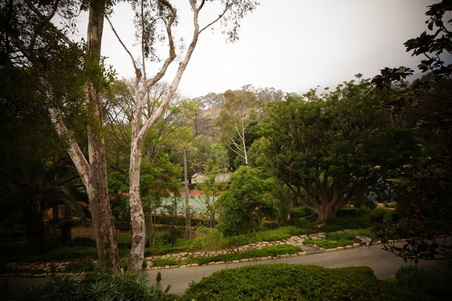 Enlarge photo 96