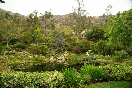 Enlarge photo 115