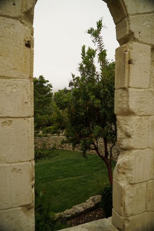 Enlarge photo 119