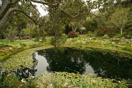 Enlarge photo 124