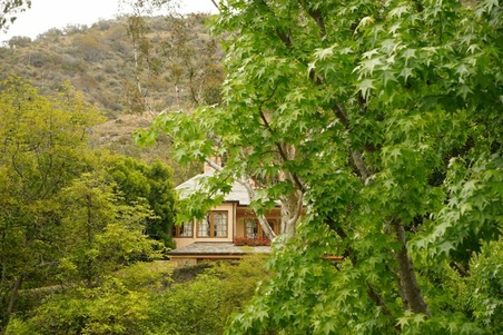 Enlarge photo 125