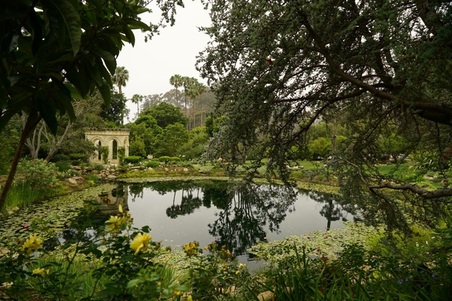 Enlarge photo 128