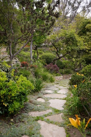 Enlarge photo 133