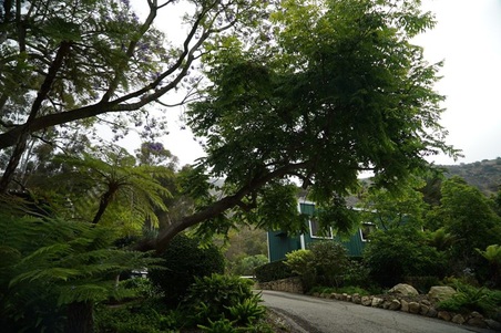 Enlarge photo 147
