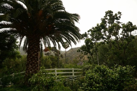 Enlarge photo 149