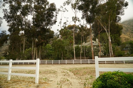 Enlarge photo 163