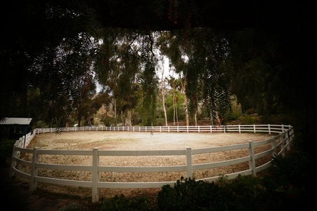 Enlarge photo 166