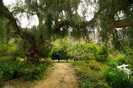 Enlarge photo 169