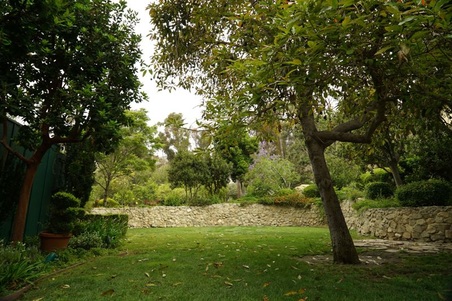 Enlarge photo 172