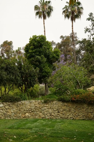 Enlarge photo 174