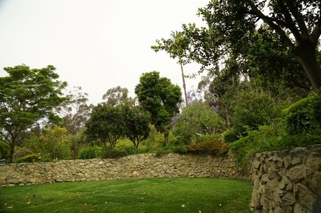 Enlarge photo 175