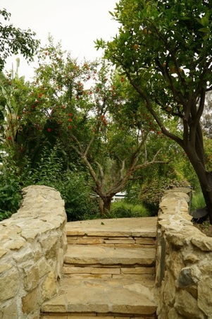 Enlarge photo 176
