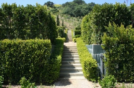 Enlarge photo 28