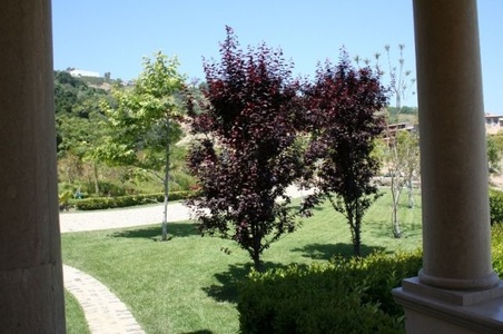 Enlarge photo 91