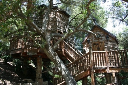 Enlarge photo 106