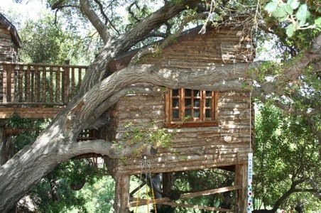Enlarge photo 108