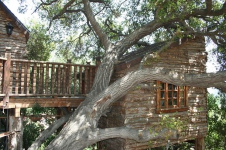 Enlarge photo 109