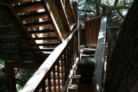 Enlarge photo 110