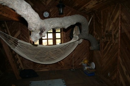 Enlarge photo 114