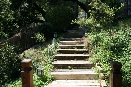 Enlarge photo 119