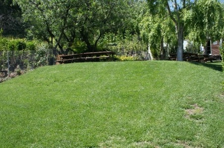 Enlarge photo 120