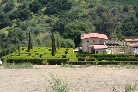 Enlarge photo 229