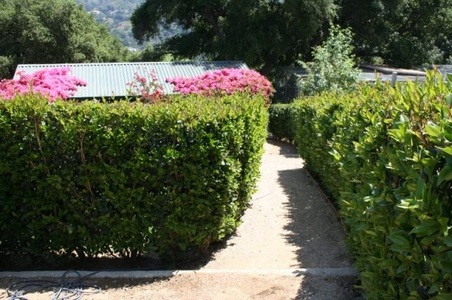 Enlarge photo 232