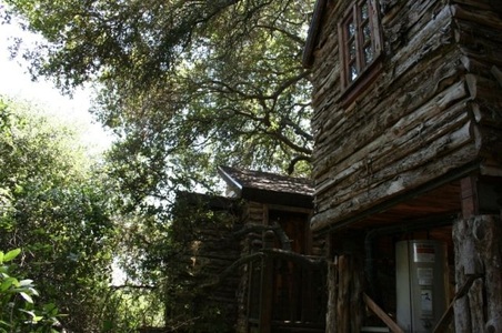 Enlarge photo 247