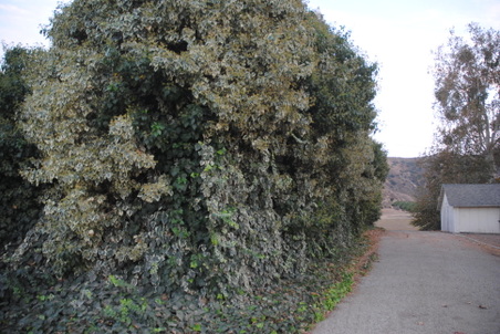 Enlarge photo 2