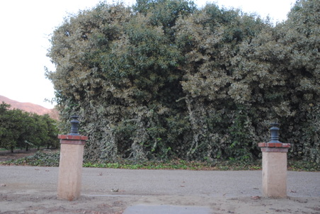 Enlarge photo 3