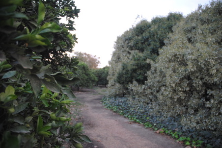 Enlarge photo 7