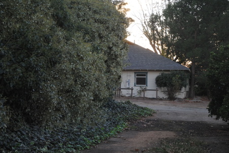 Enlarge photo 8