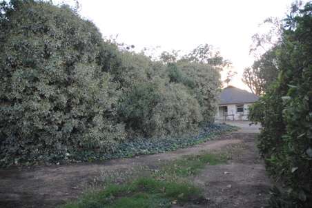 Enlarge photo 9