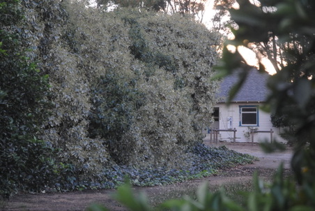 Enlarge photo 10