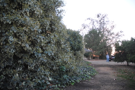 Enlarge photo 11