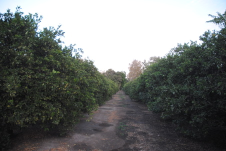 Enlarge photo 13