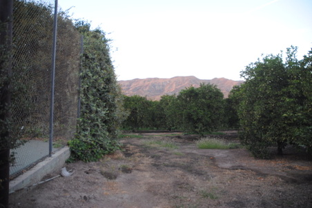 Enlarge photo 14