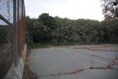 Enlarge photo 15