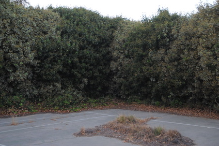 Enlarge photo 17